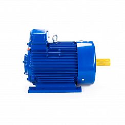 Электродвигатель 5МТКН 225 L8 37/750 IM1003